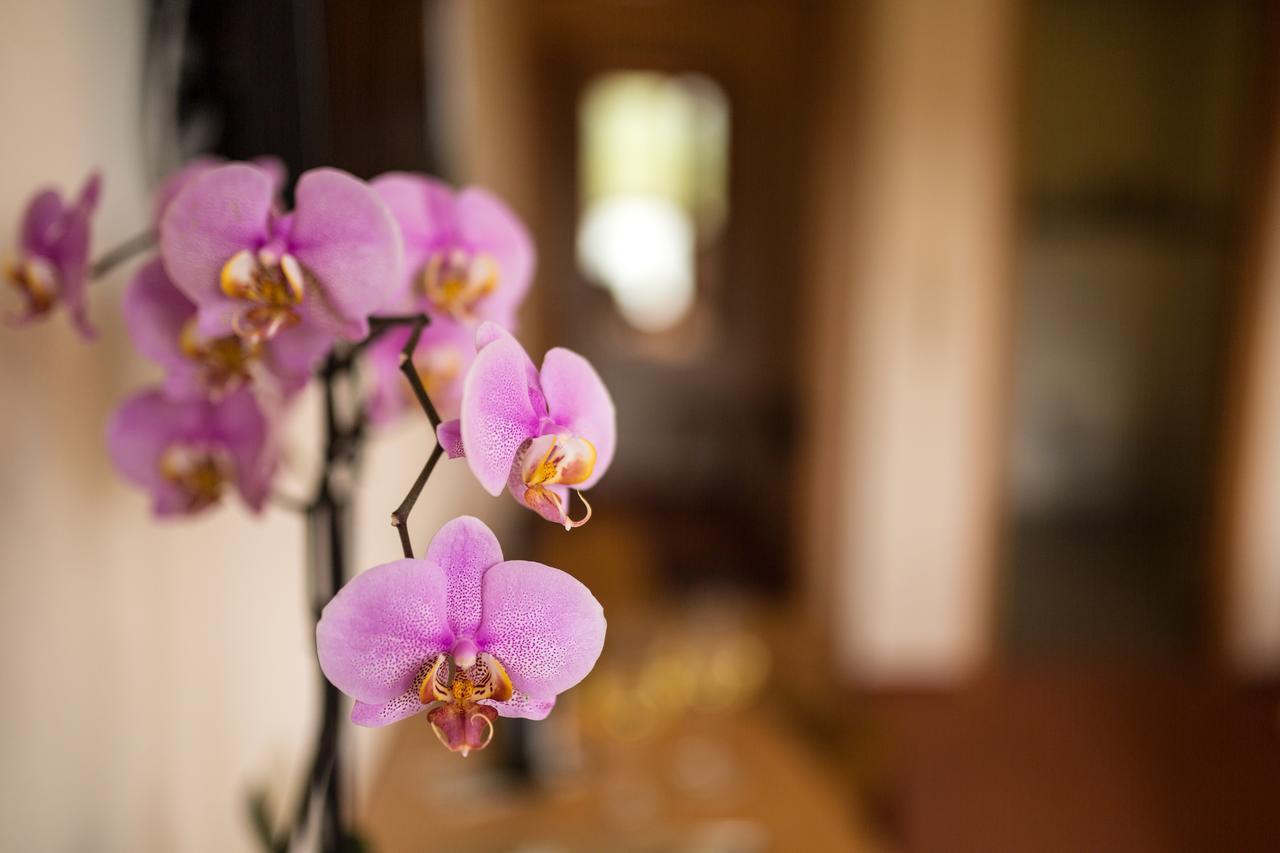 Hotel Zehnthof Uerzig Ngoại thất bức ảnh